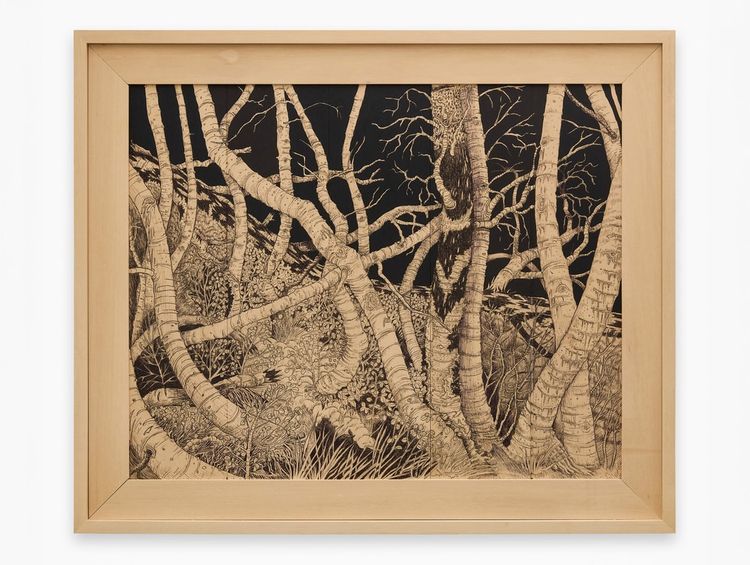 Installation view, Mont Blanc on Wood, Zolla Lieberman Gallery · 2026 (12)