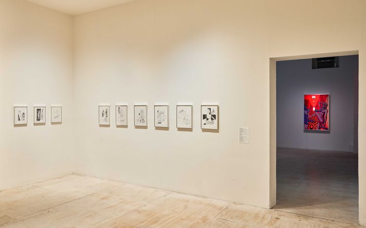 Installation view, Adult Theater, MoMA PS1 · 2025 (6)
