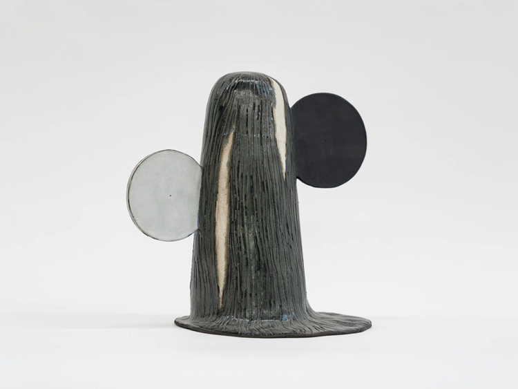 Installation view, Mirror and Messenger, Carvalho, 112 Waterbury
