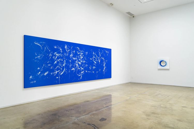 Installation view, Lita Albuquerque, Michael Kohn Gallery