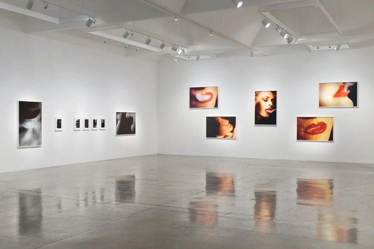 Installation view, LA, Pace · 2026 (2)