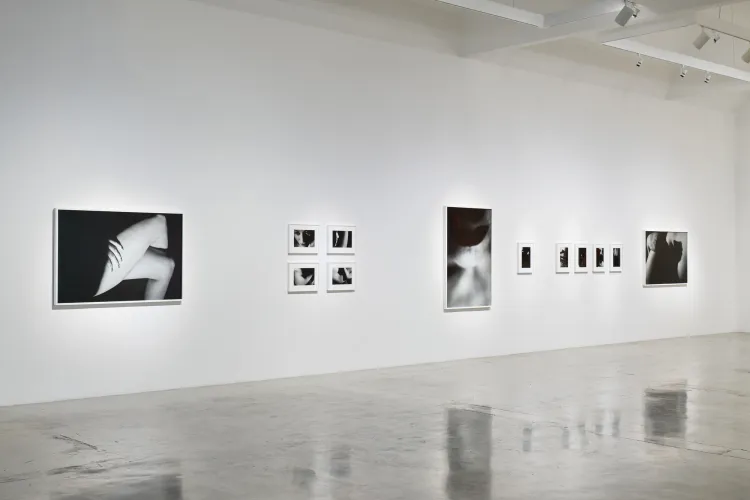 Installation view, LA, Pace
