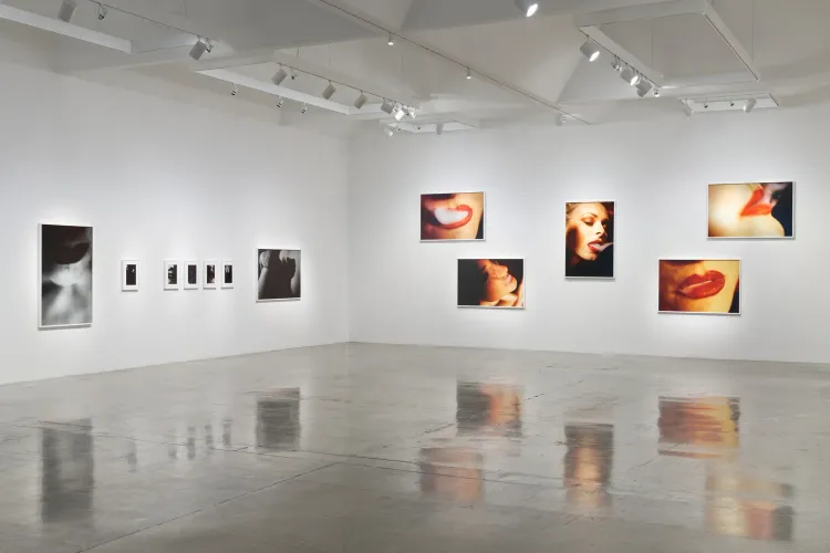 Installation view of David Lynch: LA at Pace Gallery, Los Angeles (2/15)