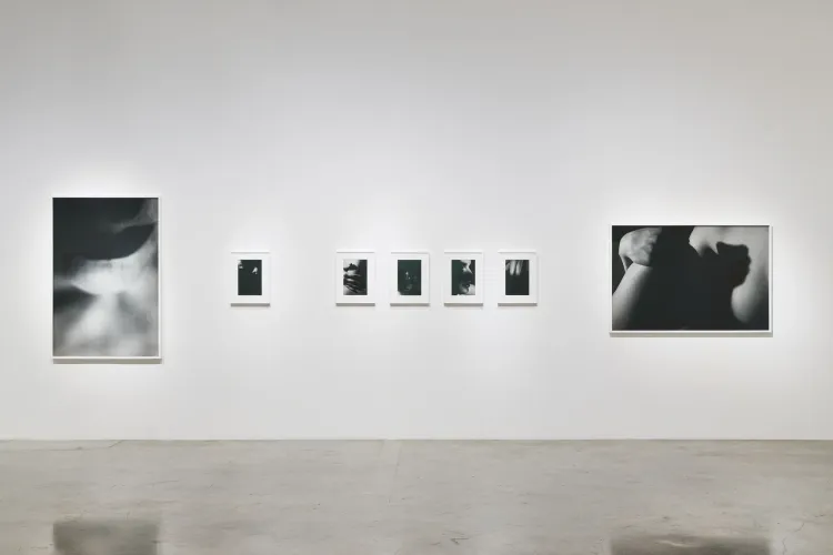 Installation view of David Lynch: LA at Pace Gallery, Los Angeles (4/15)