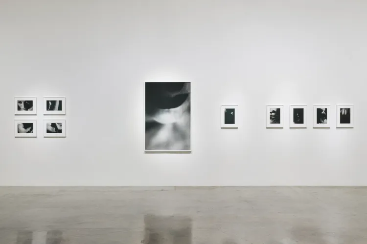 Installation view of David Lynch: LA at Pace Gallery, Los Angeles (6/15)