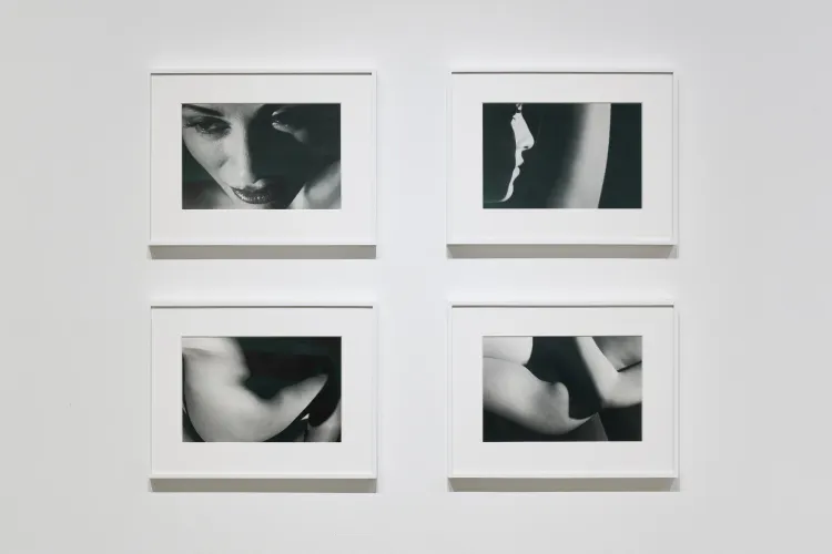 Installation view of David Lynch: LA at Pace Gallery, Los Angeles (7/15)