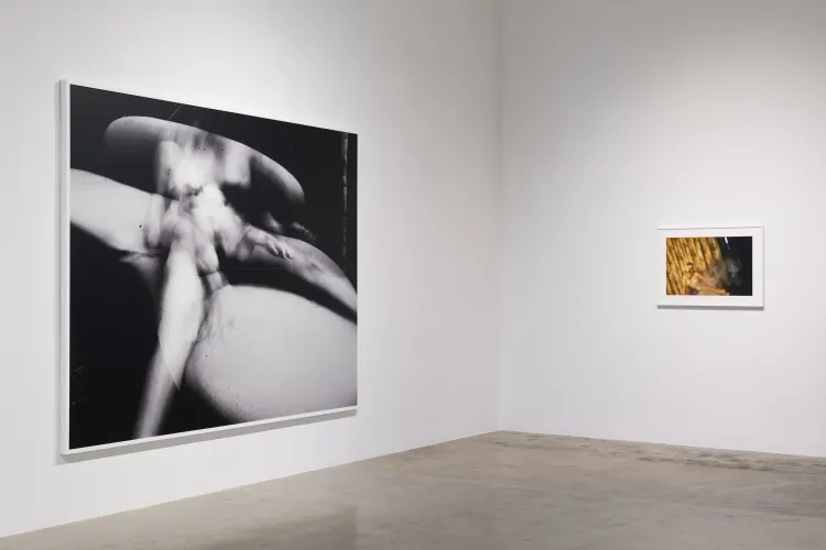 Installation view of David Lynch: LA at Pace Gallery, Los Angeles (10/15)