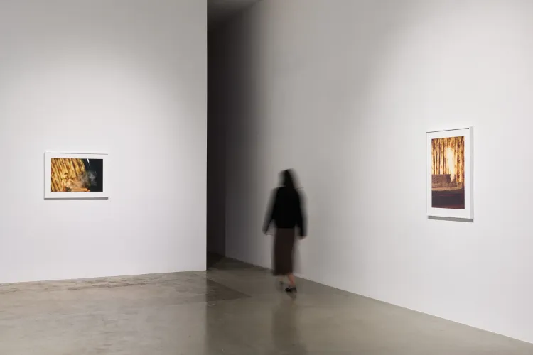 Installation view of David Lynch: LA at Pace Gallery, Los Angeles (11/15)