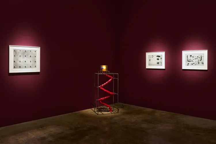 Installation view of David Lynch: LA at Pace Gallery, Los Angeles (12/15)