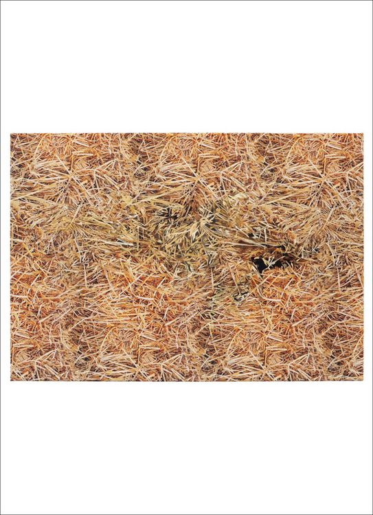 Installation view, Bottleneck, Galerie Buchholz