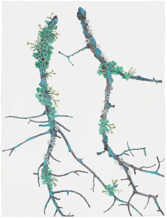 Installation view, The Arboreal Life, Kathryn Markel Fine Arts, 179 10th Avenue · 2026 (10)