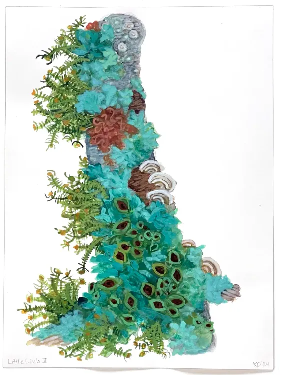 Installation view, The Arboreal Life, Kathryn Markel Fine Arts, 179 10th Avenue · 2026 (9)