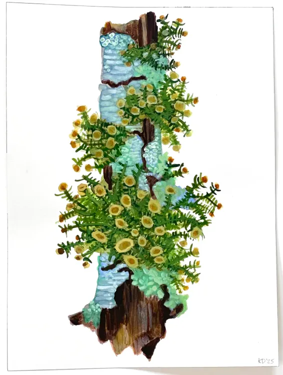 Installation view, The Arboreal Life, Kathryn Markel Fine Arts, 179 10th Avenue · 2026 (7)