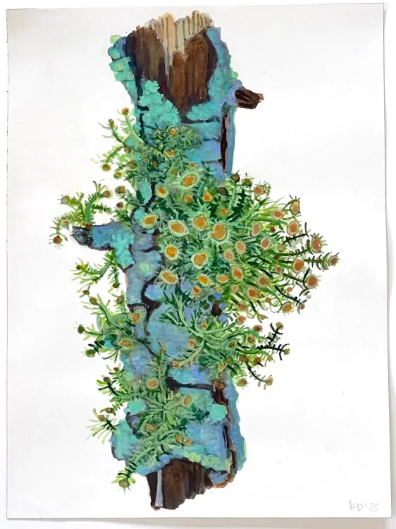 Installation view, The Arboreal Life, Kathryn Markel Fine Arts, 179 10th Avenue · 2026 (11)