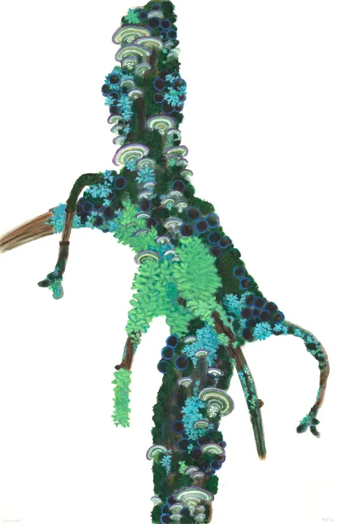 Installation view, The Arboreal Life, Kathryn Markel Fine Arts, 179 10th Avenue · 2026 (6)