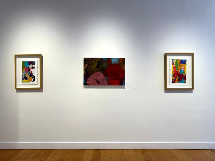 Installation view, MondoChromatic: New West Coast Colorways, Wessling Contemporary · 2026 (5)