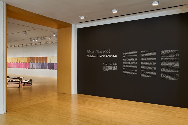 Installation view, Christine Howard Sandoval: Move the Plot, San Jose Museum of Art