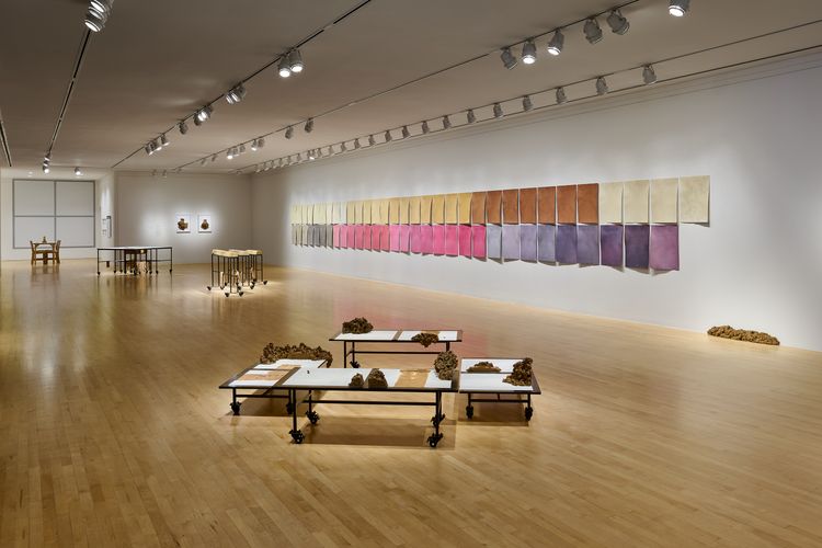 Installation view, Christine Howard Sandoval: Move the Plot, San Jose Museum of Art (2)