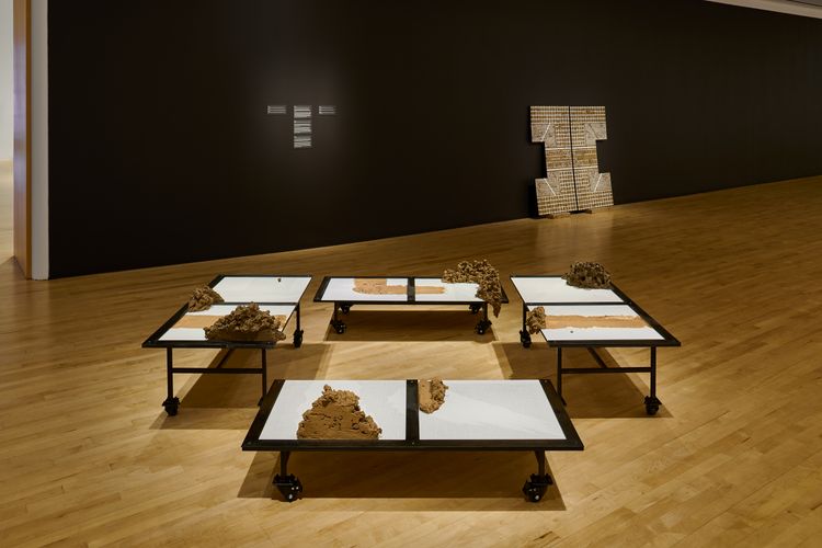 Installation view, Christine Howard Sandoval: Move the Plot, San Jose Museum of Art (3)