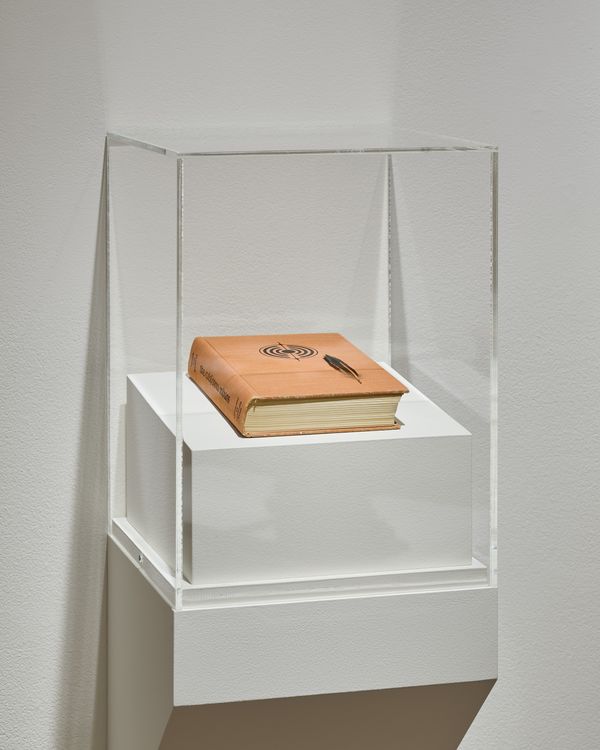 Installation view, Christine Howard Sandoval: Move the Plot, San Jose Museum of Art (5)