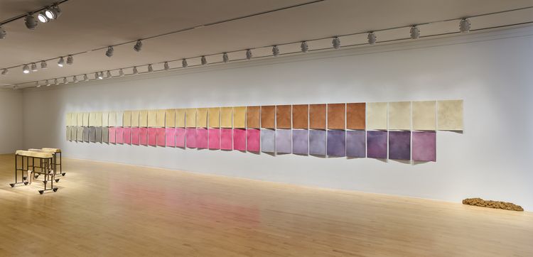 Installation view, Christine Howard Sandoval: Move the Plot, San Jose Museum of Art (6)