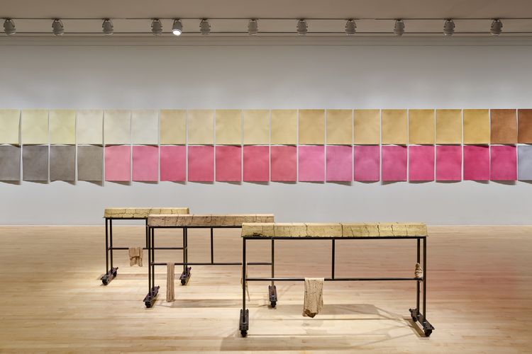 Installation view, Christine Howard Sandoval: Move the Plot, San Jose Museum of Art (7)