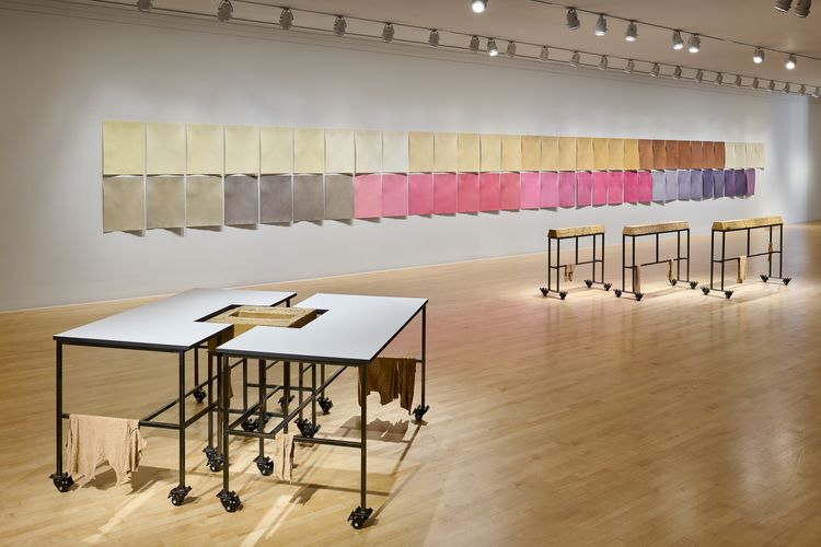 Installation view, Christine Howard Sandoval: Move the Plot, San Jose Museum of Art (8)