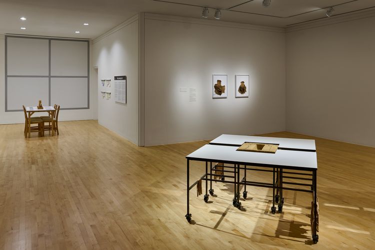 Installation view, Christine Howard Sandoval: Move the Plot, San Jose Museum of Art (9)