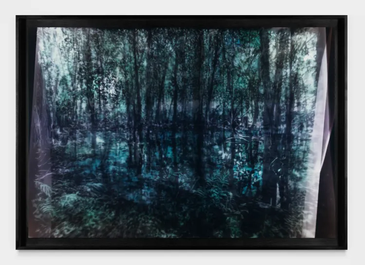 Installation view, On an Overgrown Path, Marian Goodman, New York · 2026 (37)