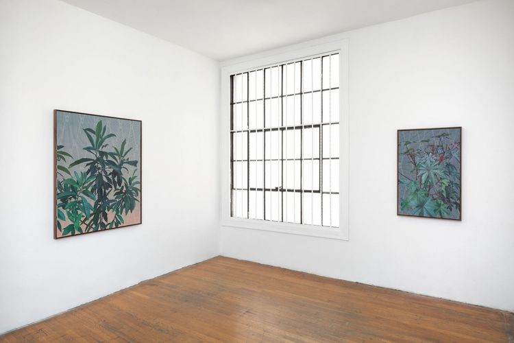Installation view, not never over nothing , Commonwealth and Council · 2025 (3)