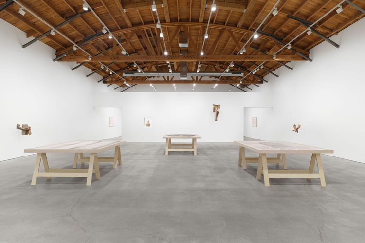 Installation view, Olympia, Perrotin