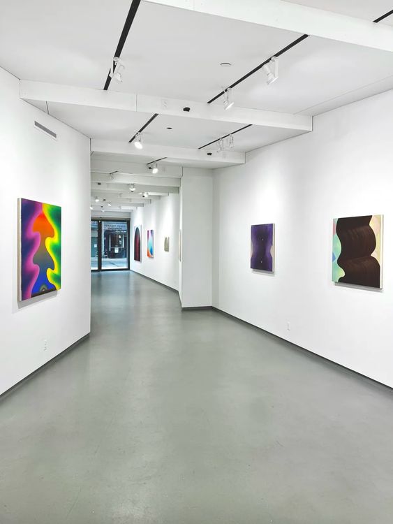 Installation view, Cave Painting, Hollis Taggart · 2026 (9)