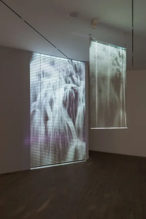 Installation view, Takao Minami, Ota Fine Arts · 2026 (5)