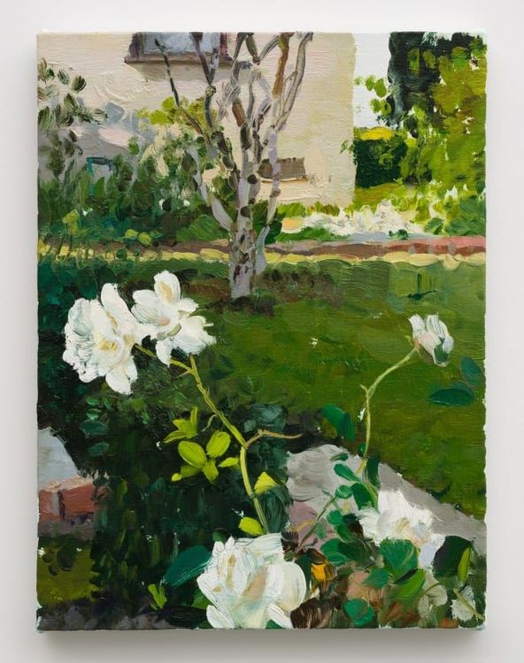 Installation view, Bloom and Fade, Philip Martin Gallery · 2025 (7)