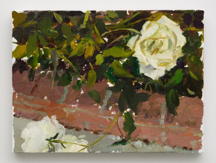 Installation view, Bloom and Fade, Philip Martin Gallery · 2025 (15)
