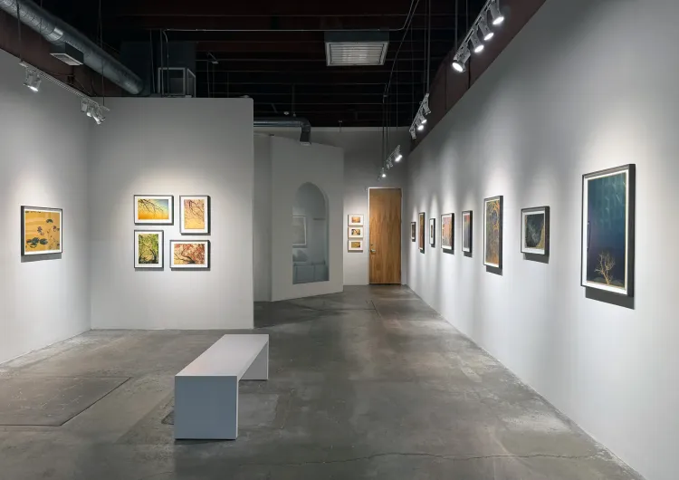 Installation view, Windows to the unexpected, Marshall Gallery · 2026 (1)