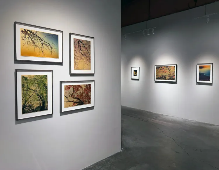 Installation view, Windows to the unexpected, Marshall Gallery · 2026 (2)
