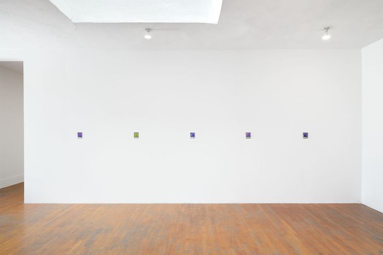 Installation view, Private Life, Commonwealth and Council · 2026 (6)