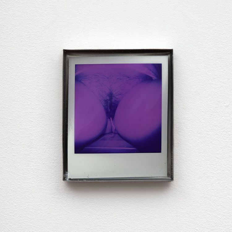 Installation view, Private Life, Commonwealth and Council · 2026 (21)