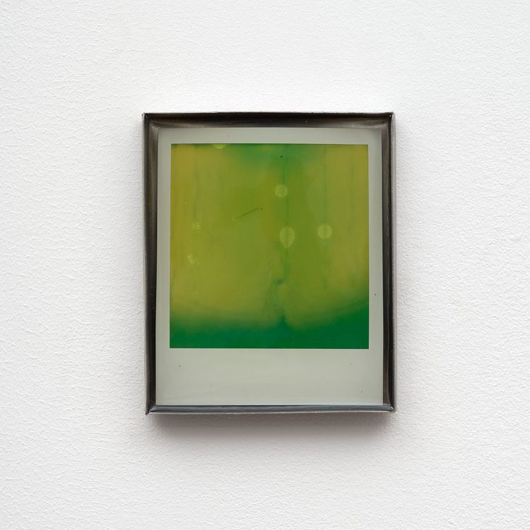 Installation view, Private Life, Commonwealth and Council · 2026 (22)
