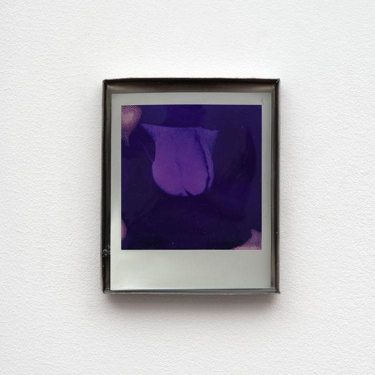 Installation view, Private Life, Commonwealth and Council · 2026 (10)