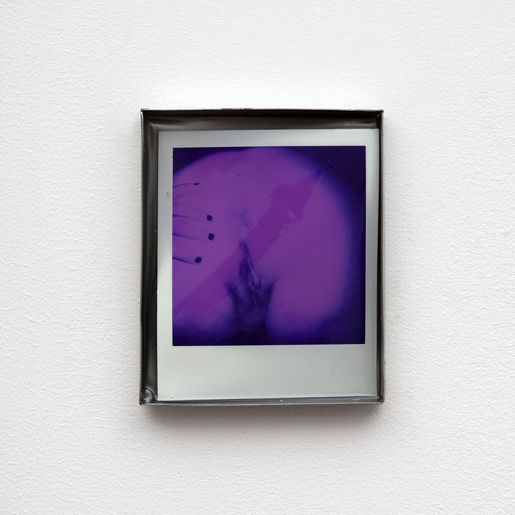 Installation view, Private Life, Commonwealth and Council · 2026 (11)