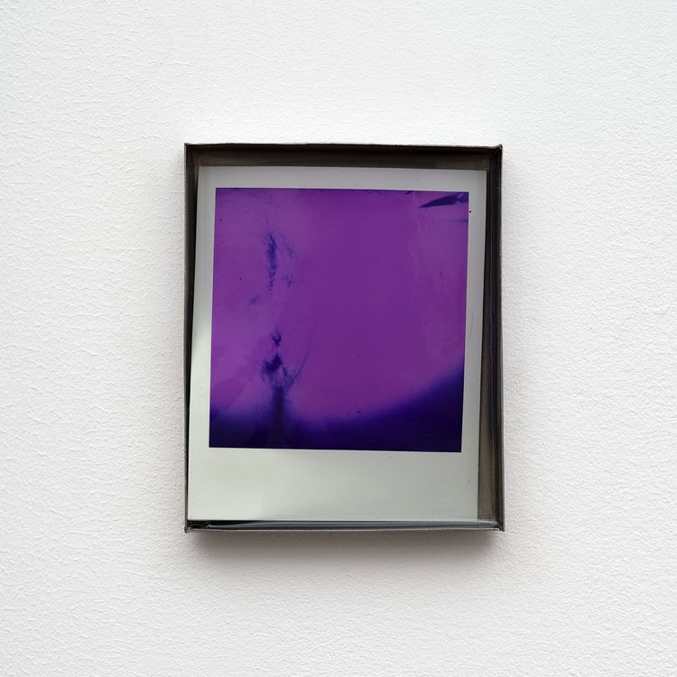 Installation view, Private Life, Commonwealth and Council · 2026 (12)