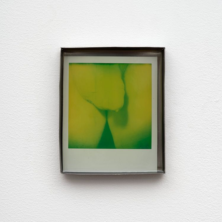 Installation view, Private Life, Commonwealth and Council · 2026 (13)