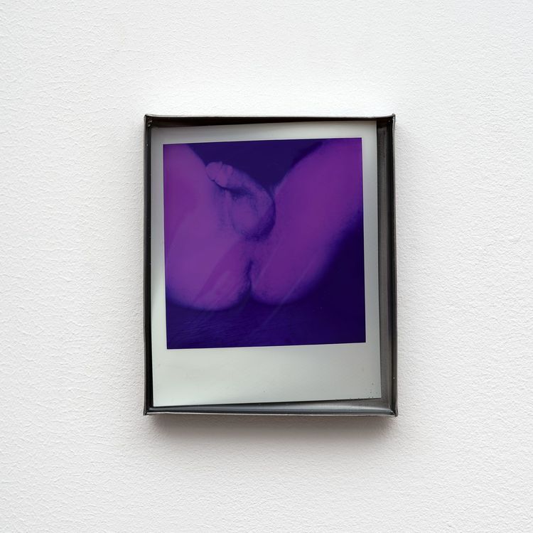 Installation view, Private Life, Commonwealth and Council · 2026 (14)