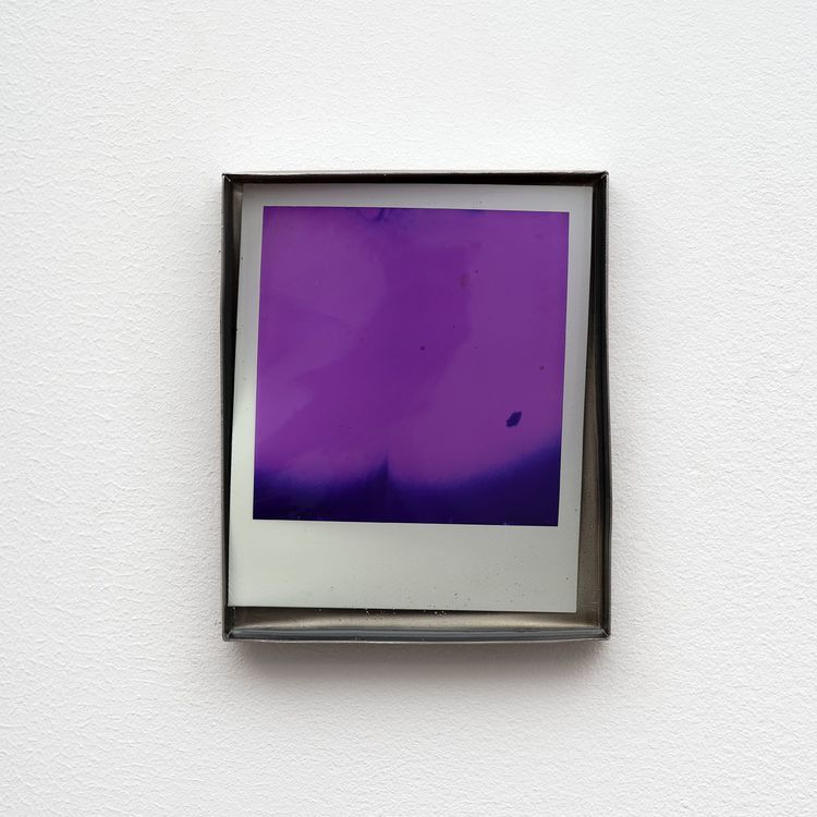 Installation view, Private Life, Commonwealth and Council · 2026 (15)