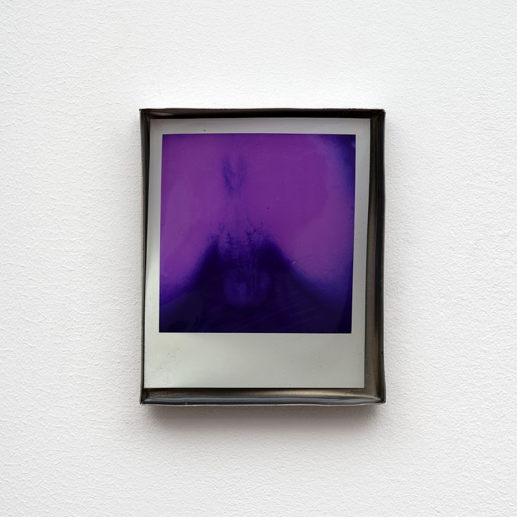 Installation view, Private Life, Commonwealth and Council · 2026 (16)