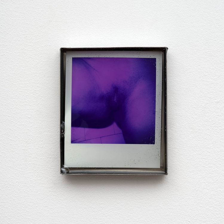Installation view, Private Life, Commonwealth and Council · 2026 (17)