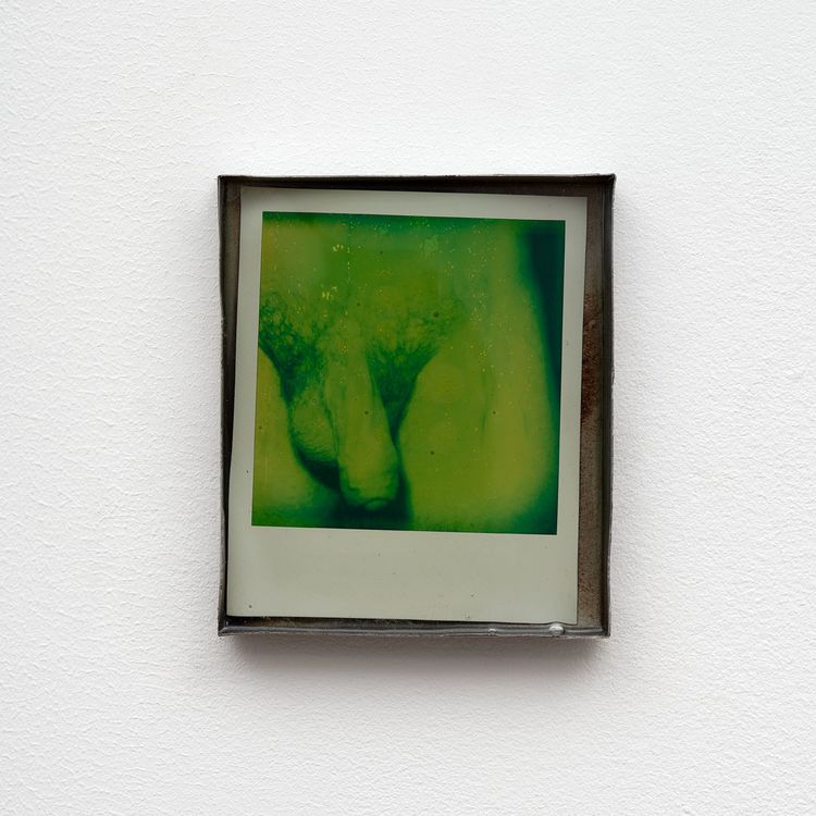 Installation view, Private Life, Commonwealth and Council · 2026 (19)