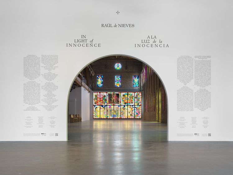 Installation view, In Light of Innocence, Pioneer Works · 2025 (2)